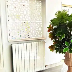 Radiators -2 05-08-2025 22_32_07_206